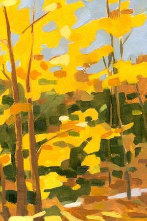 Autumn Hike II - Wall Art Print, 12x18