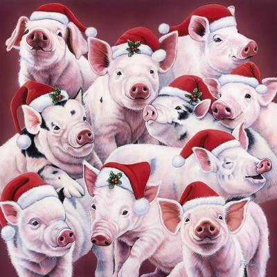 Christmas Piggies - Giclee Print, 16x16