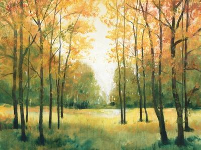 Fall Retreat I - Wall Art Print, 16x12