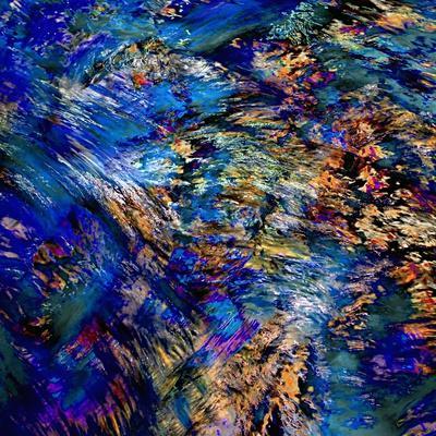 Flamboyant - Photographic Print, 16x16