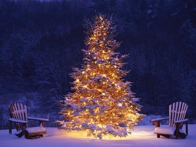 Snow Covering Adirondack Chairs by Lit Christmas Tree - Photographic Print, 12x9