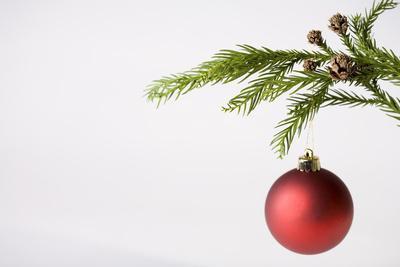 Still Life of Red Bauble Hanging on Christmas Tree - Photographic Print, 12x8