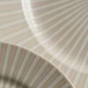 12 Piece Reactive Striped Dinner Set