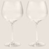 Set of 2 Gin Glasses