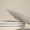 Set of 4 Everyday Dinner Plates