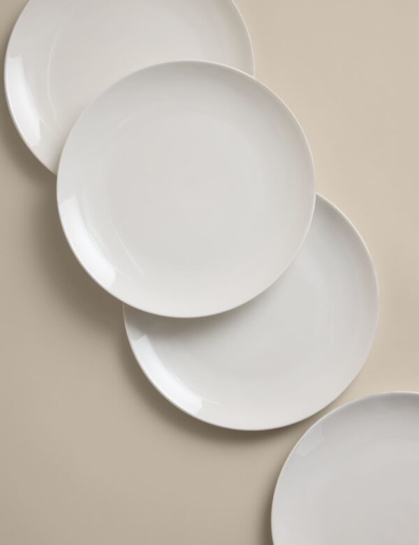 Set of 4 Everyday Dinner Plates