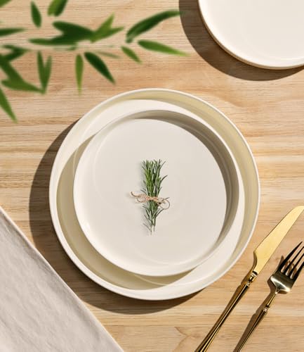 TheTerra Ceramic Dinnerware Sets for 4, 12 Pieces Porcelain Lightweight Plates and Bowls Sets, Scratch Resistant Dish Set, Oven & Microwave &...