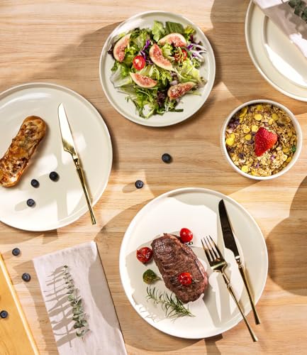 TheTerra Ceramic Dinnerware Sets for 4, 12 Pieces Porcelain Lightweight Plates and Bowls Sets, Scratch Resistant Dish Set, Oven & Microwave &...